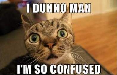 Confused-Cat-Meme-2