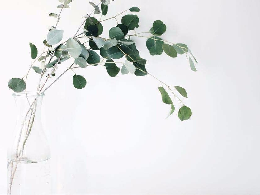 I hate the sound of my voice