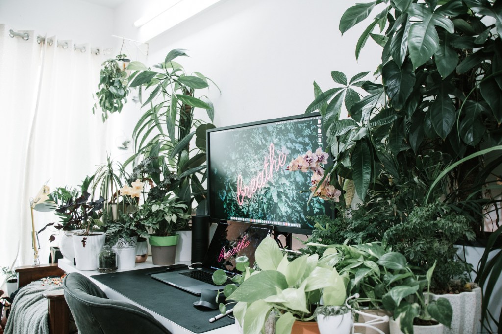 plants around computer from work from home office minimalist and cozy with keyboard and laptop and chill vibe with plants