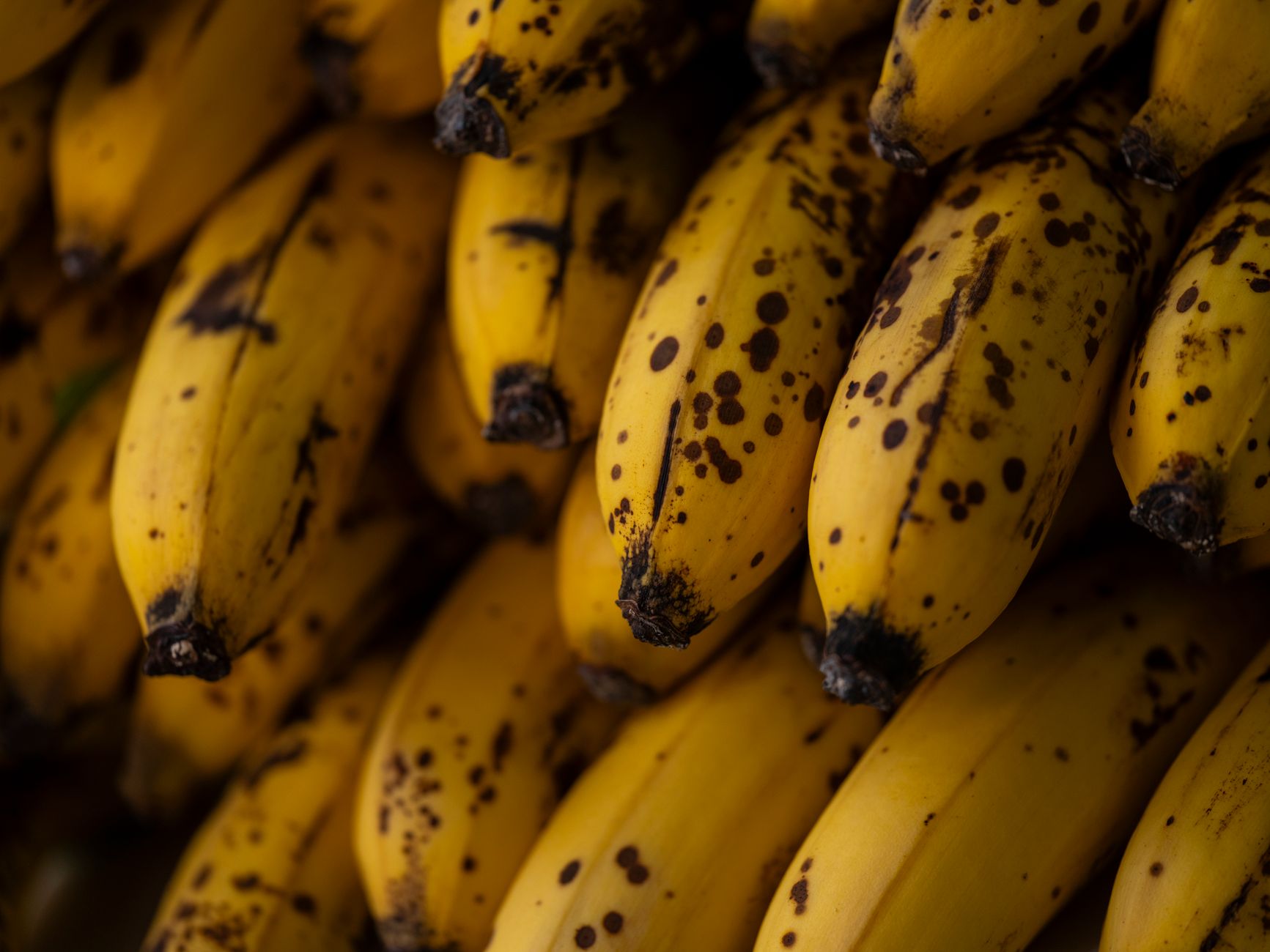 Close-up of a cluster of ripe yellow bananas with black spots, showing their texture and color variations.